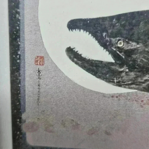 Chinook Salmon framed print - Picture 4 of 10